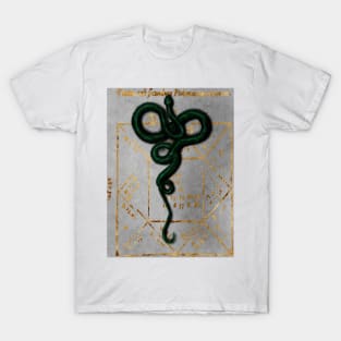 Gothic Watercolor Emerald Green Snake on Ancient Astrology Gold Foil Dark Academia Book T-Shirt